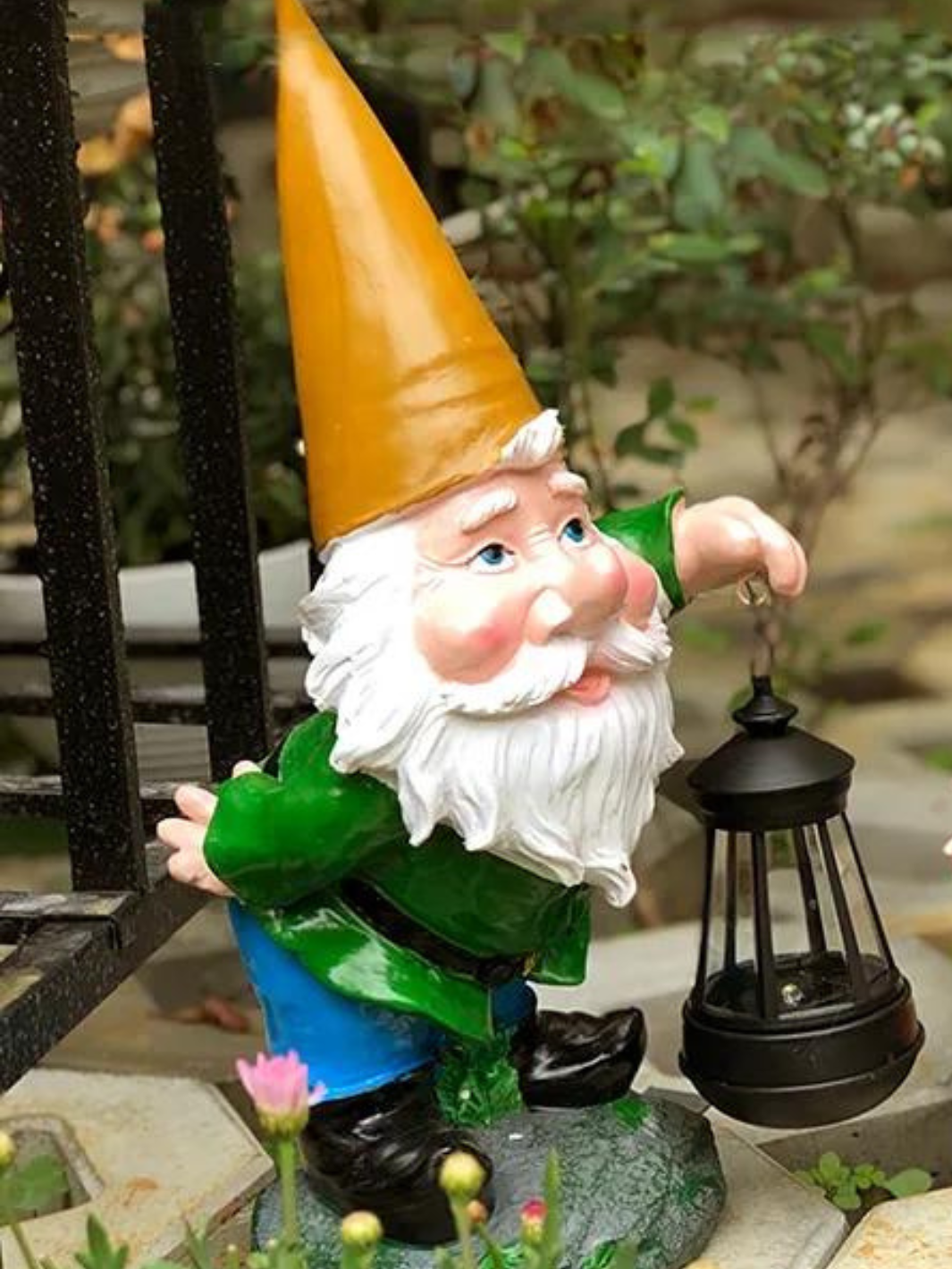 Grand Nain De Jardin Pas Cher