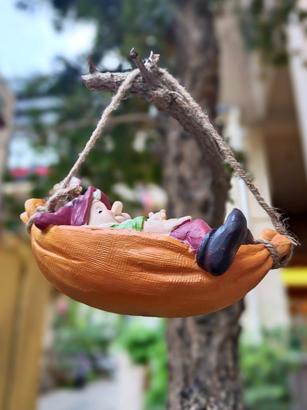 Nain de Jardin | Coquin