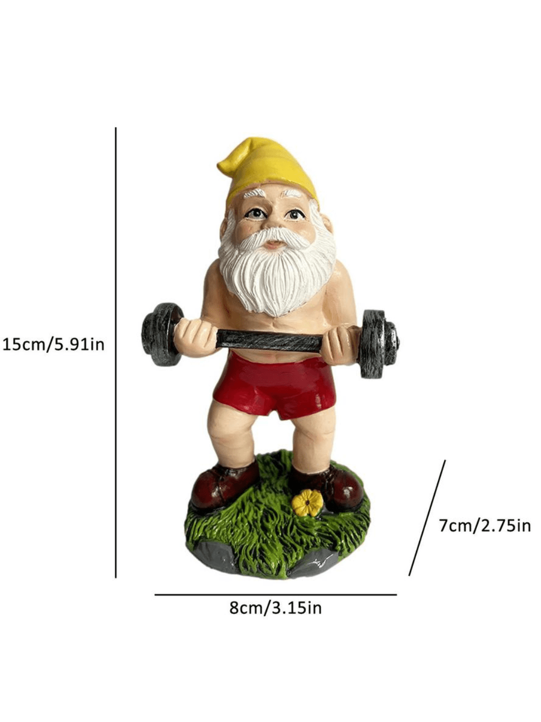 Nain De Jardin | Haltérophile