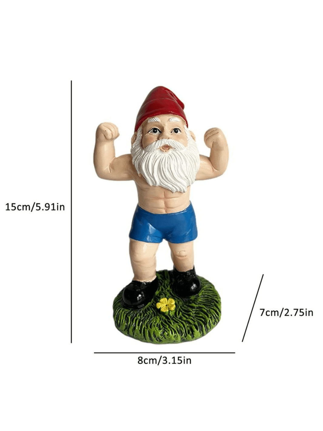 Nain De Jardin | Musclé