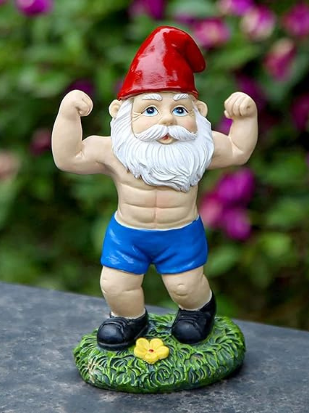 Nain De Jardin | Musclé
