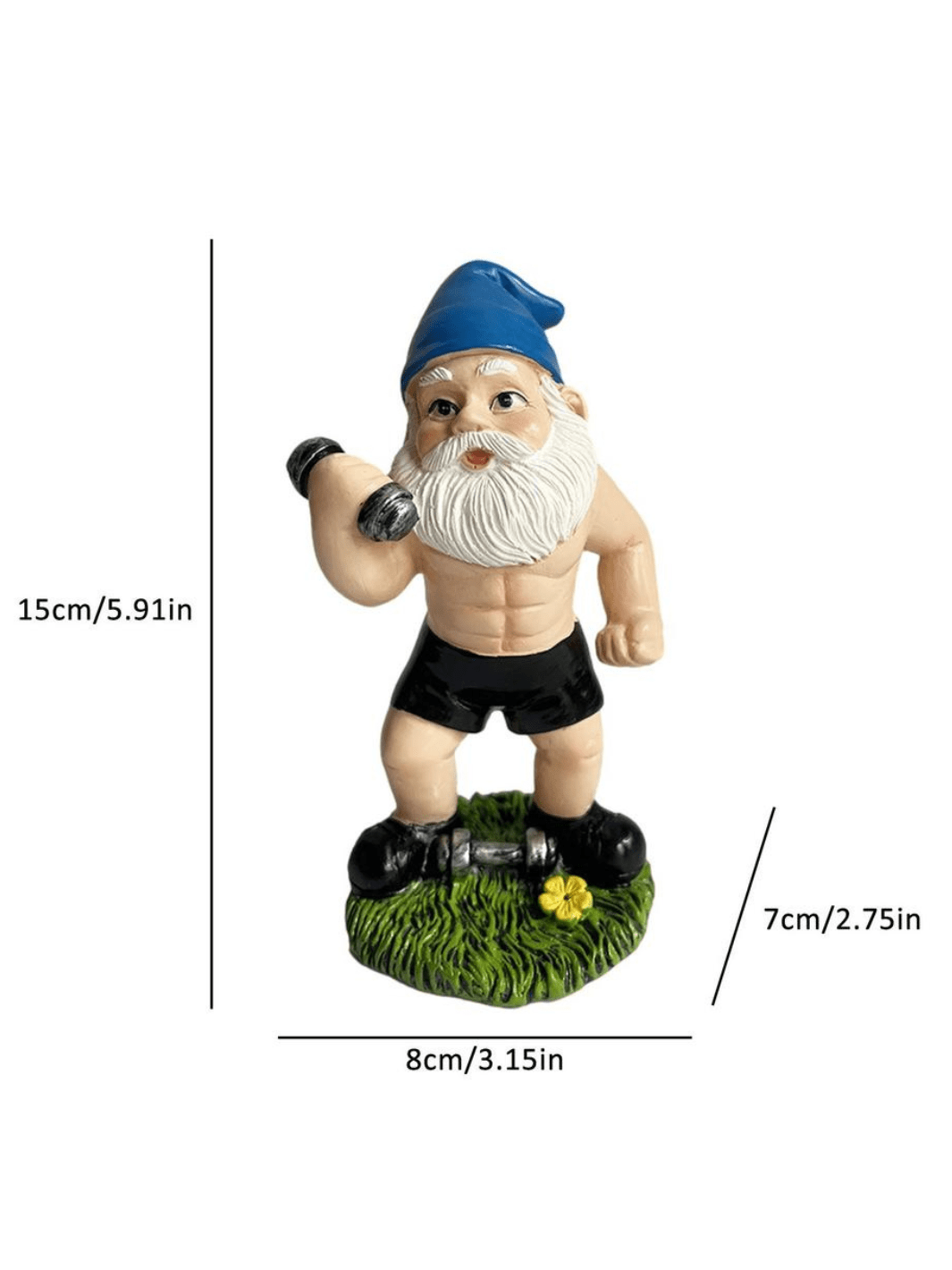 Nain De Jardin | Musculation