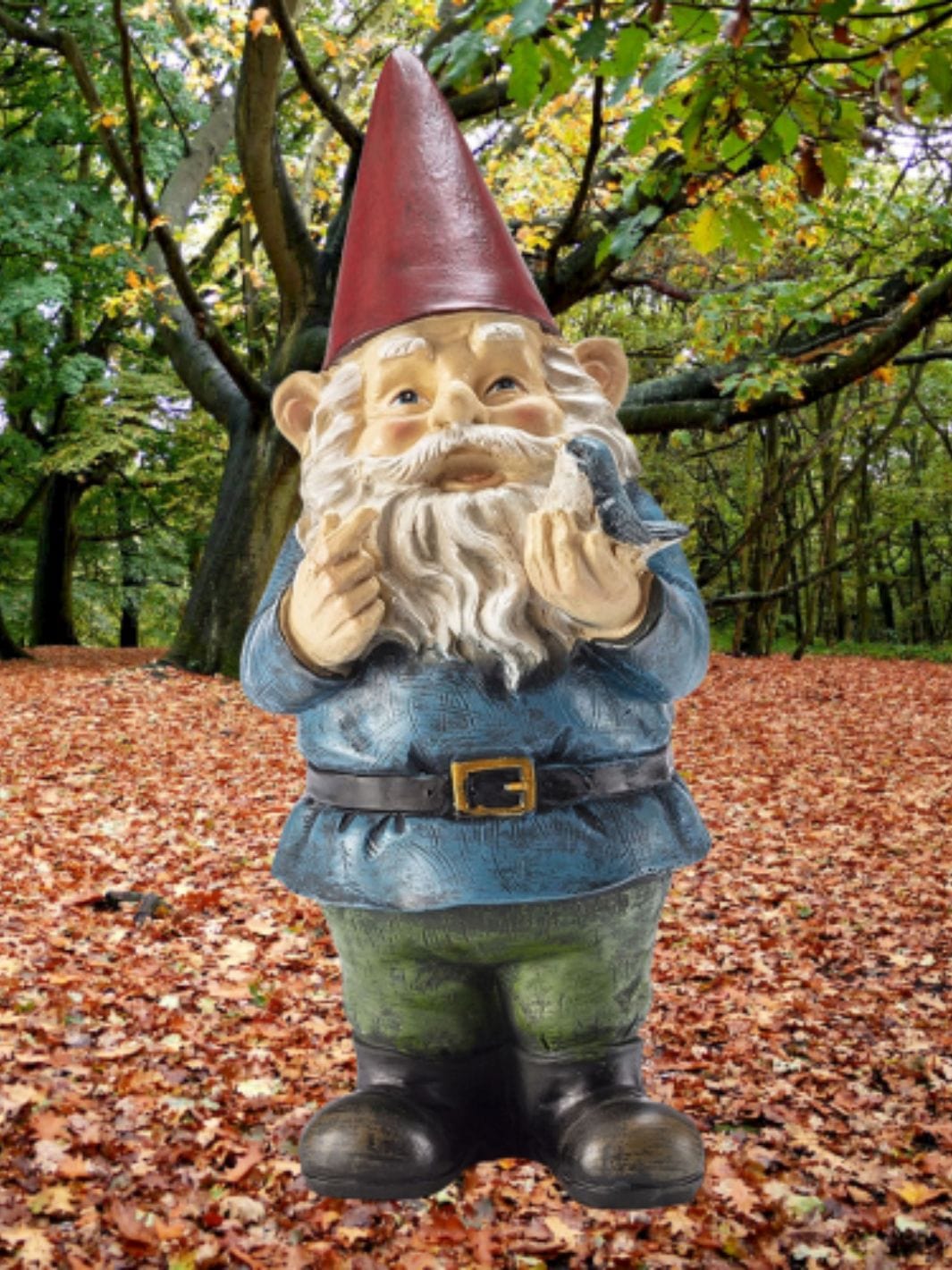 Nain De Jardin | L'Original