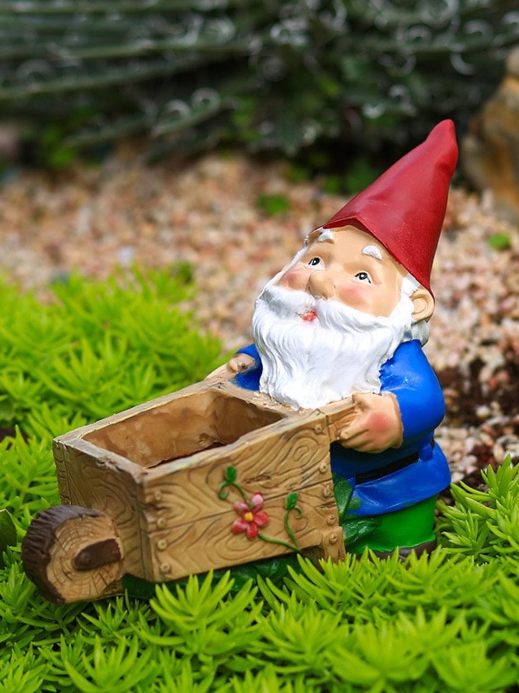 Nain De Jardin | Brouette