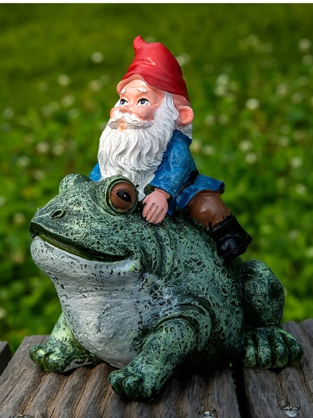 Nain de jardin à dos de crapaud