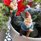 Lot de 4 nains de jardin colore pot de fleur