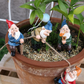 Lot de 4 nains de jardin colorés pour pot de fleur