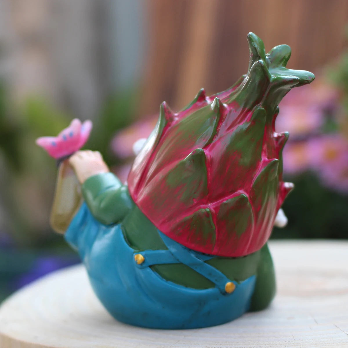 nain de jardin pitaya miniature