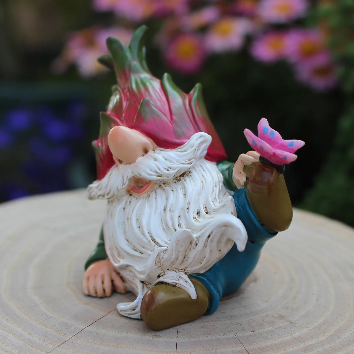 nain de jardin pitaya miniature 1