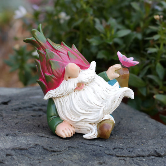 nain de jardin pitaya miniature en résine