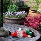 Nain De Jardin | Ivre
